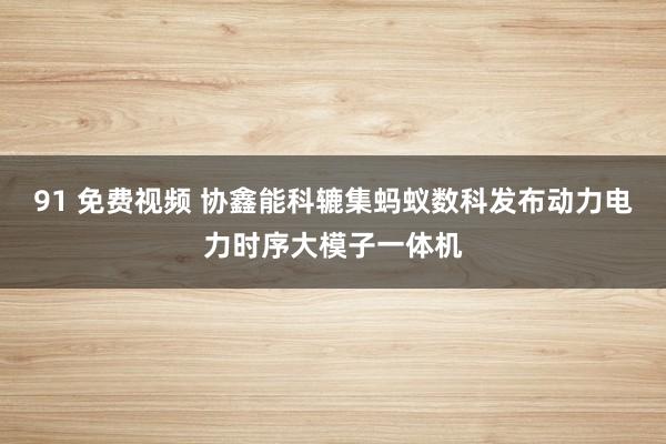 91 免费视频 协鑫能科辘集蚂蚁数科发布动力电力时序大模子一体机