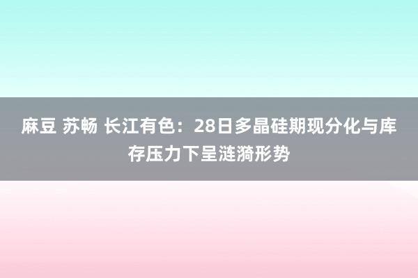 麻豆 苏畅 长江有色：28日多晶硅期现分化与库存压力下呈涟漪形势