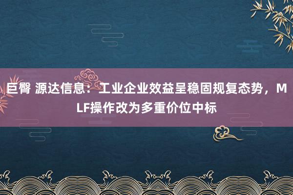 巨臀 源达信息：工业企业效益呈稳固规复态势，MLF操作改为多重价位中标