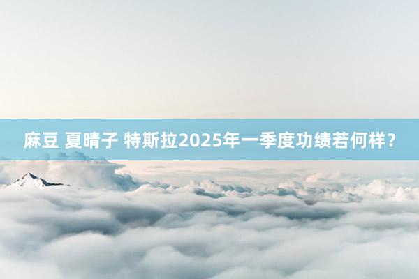 麻豆 夏晴子 特斯拉2025年一季度功绩若何样？