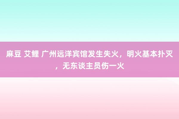 麻豆 艾鲤 广州远洋宾馆发生失火，明火基本扑灭，无东谈主员伤一火