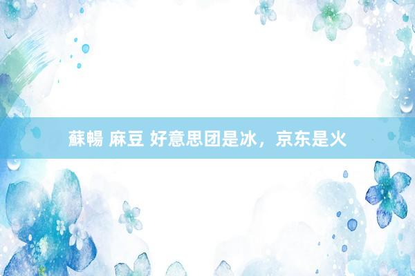 蘇暢 麻豆 好意思团是冰，京东是火